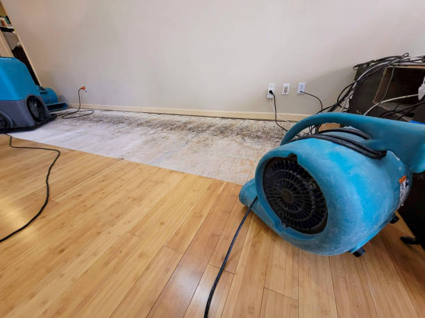Professional Sewage Cleanup technician working in Brohman, MI